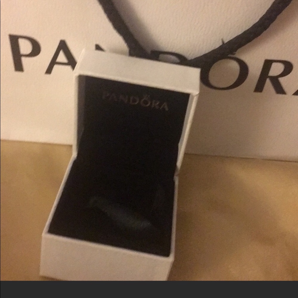 New Official Pandora charm Box Gift set with Bag - Picture 2 of 3
